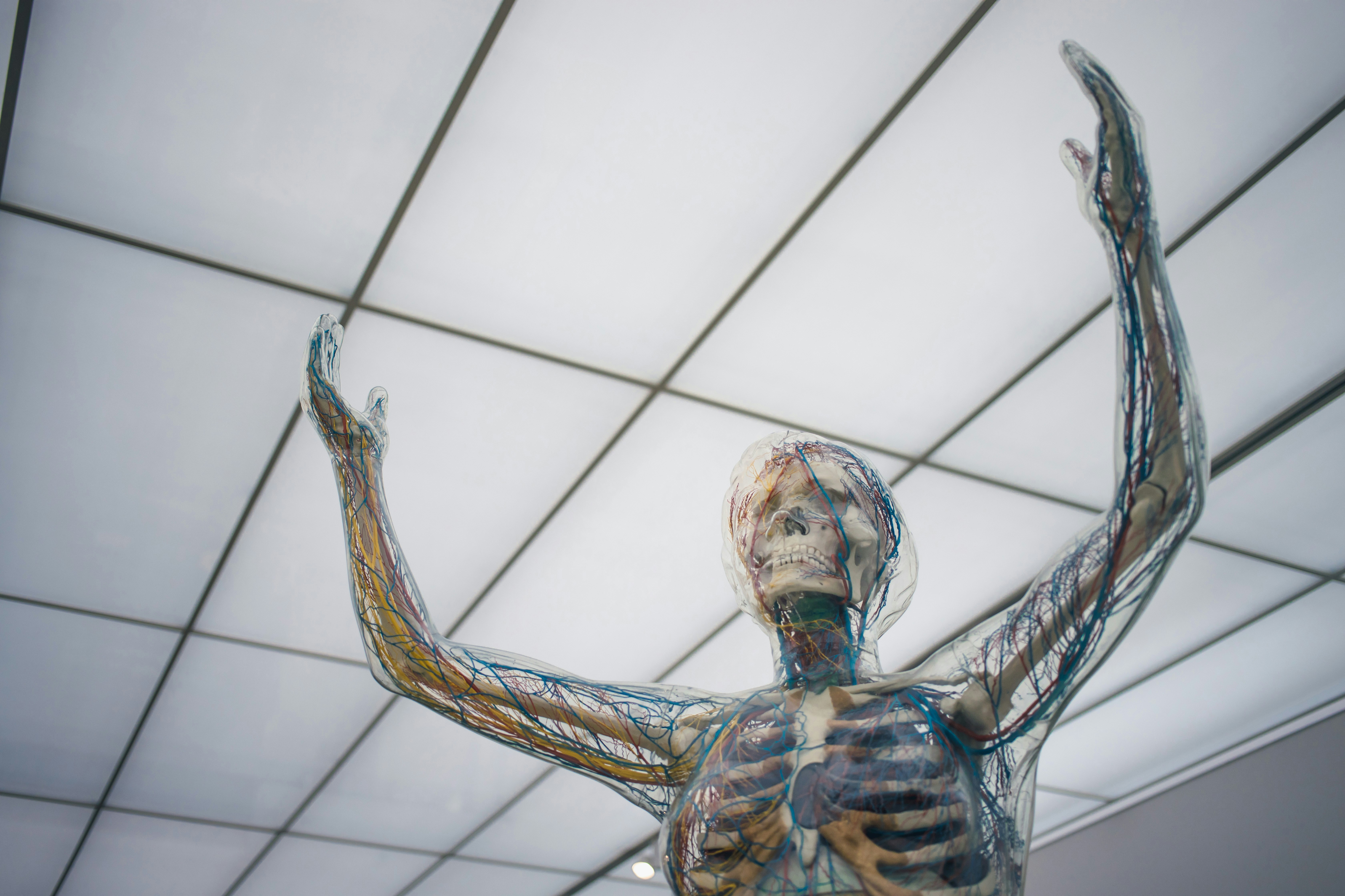 Kinesthetics and Skill Expression in Sports