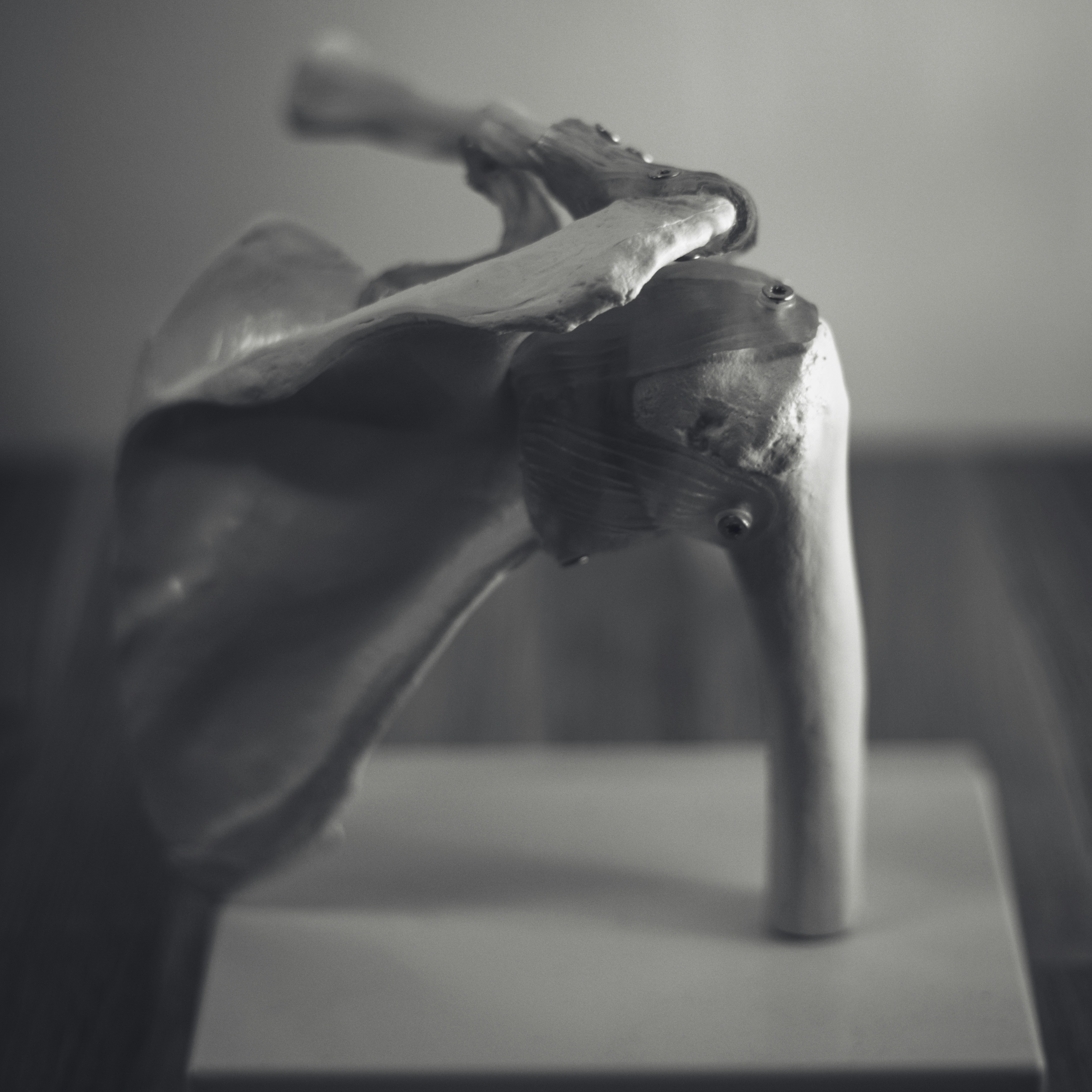 The Thrower’s Shoulder (Part 1): The Functional and Relevant Anatomy of the Shoulder Complex
